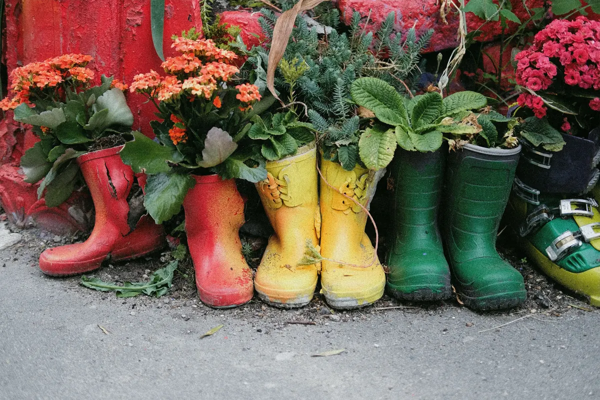 Rain boots used as flower pots in Copenhagen