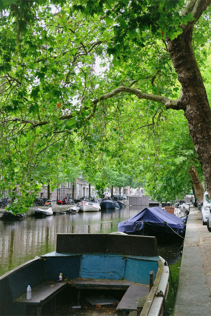 Tree-lined canal with moored boats in Copenhagen